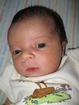 Nicholas at Home