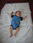 IMG_7881.jpg