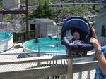 IMG_8426.jpg
