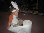 IMG_1254.jpg