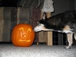 IMG_4902.jpg