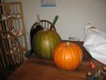 IMG_1907.jpg