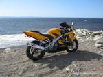 1999 Honda CBR 600 F4