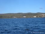 IMG_2065.jpg