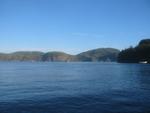 IMG_3371.jpg