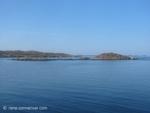 IMG_3701.jpg