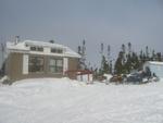 IMG_5016.jpg