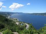 IMG_3484.jpg