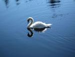 IMG_3513.jpg