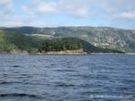 IMG_3736.jpg