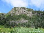 IMG_3754.jpg