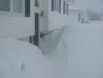 Gander Snow, March 2003
