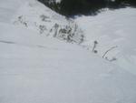 IMG_1393.jpg