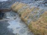 IMG_4577.jpg