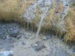 IMG_4585.jpg