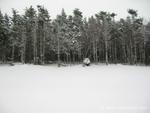IMG_2656.jpg