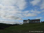 IMG_9081.jpg