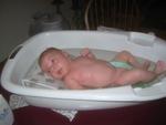 IMG_2379.jpg