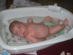 IMG_2380.jpg