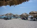 117_1782_IMG.jpg