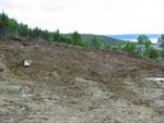 July 2002