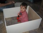 IMG_8545.JPG